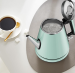 Fast Boil Electric Water Kettle