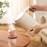 Electric Water Kettle with Temperature Control