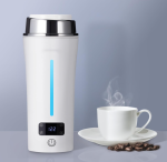 Dual Voltage Travel Electric Water Kettle