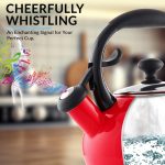 Glass Water Kettle with Removable Infuser - Image 2